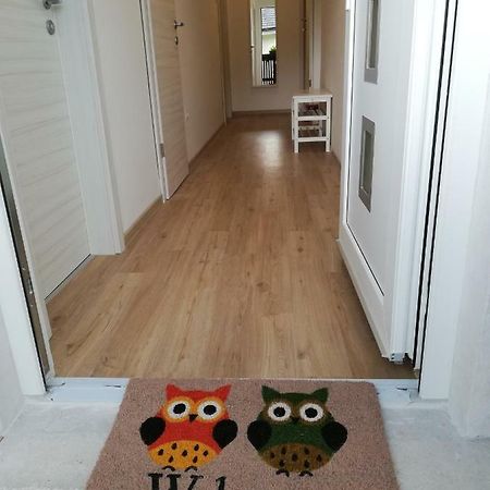 Apartma Vojvoda ボーヒニ エクステリア 写真