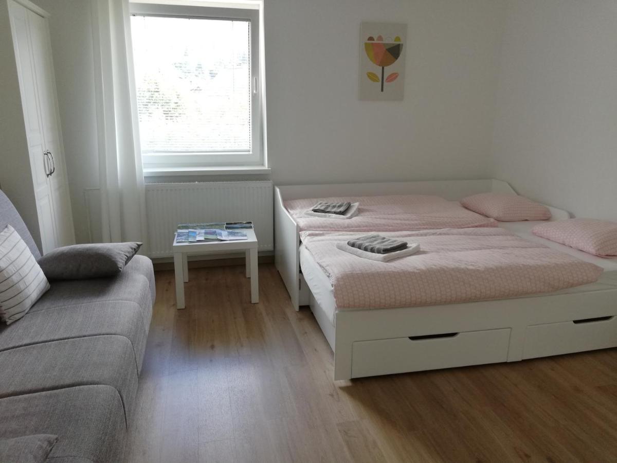 Apartma Vojvoda ボーヒニ エクステリア 写真