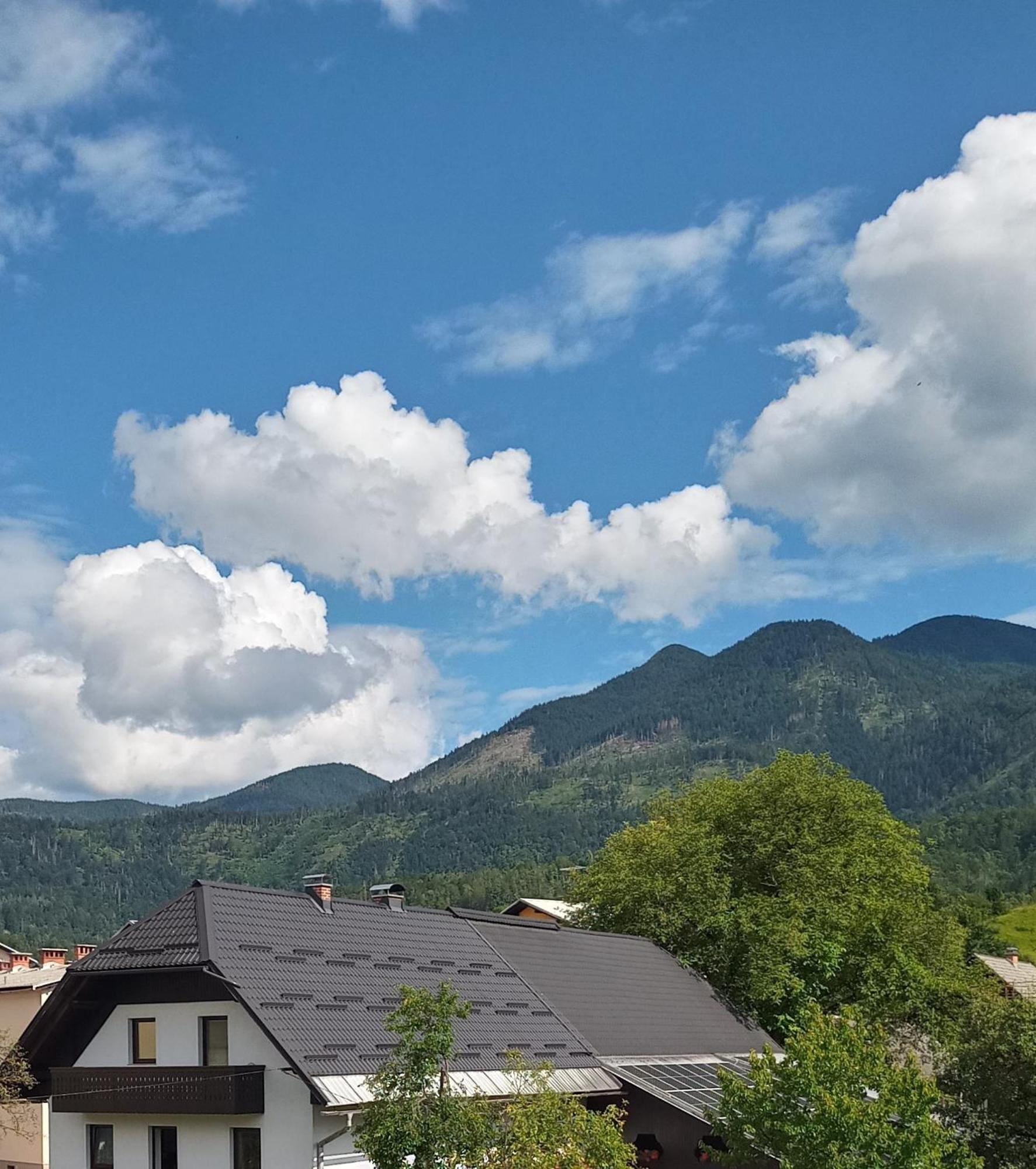 Apartma Vojvoda ボーヒニ エクステリア 写真