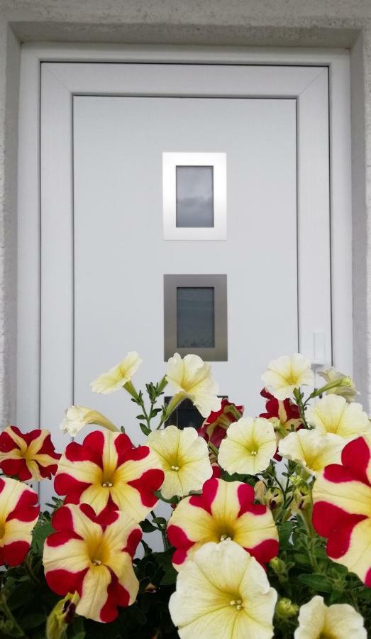 Apartma Vojvoda ボーヒニ エクステリア 写真