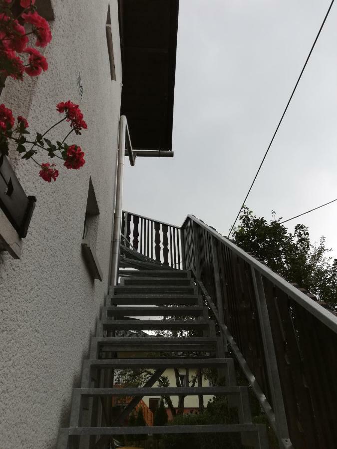 Apartma Vojvoda ボーヒニ エクステリア 写真