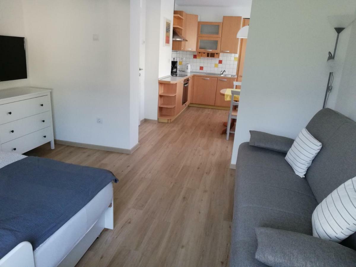 Apartma Vojvoda ボーヒニ エクステリア 写真